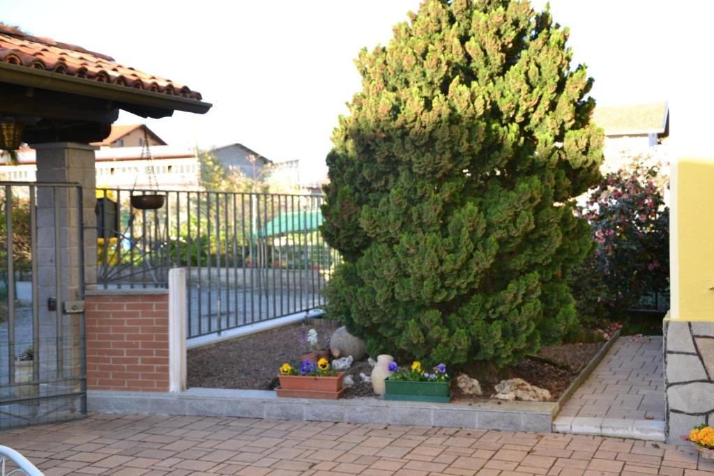 B&B Mimosa Candelo Zewnętrze zdjęcie